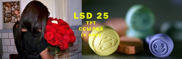 spice Вяземский