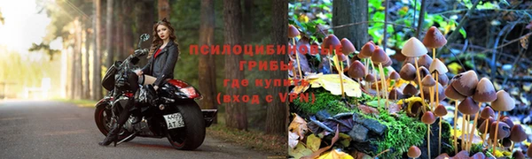 spice Вяземский