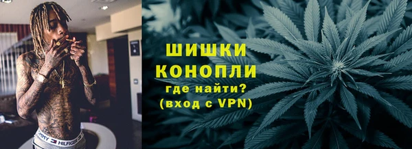 spice Вяземский