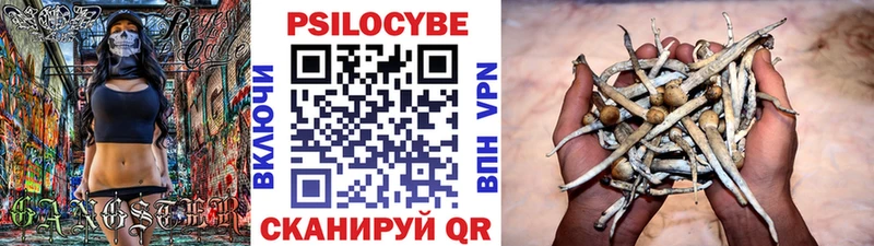 Купить где  Уржум  Псилоцибиновые грибы ЛСД 